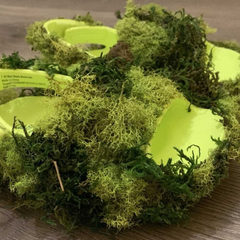 Moss Slides
